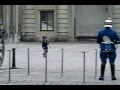 Cutest Little Swedish Guard