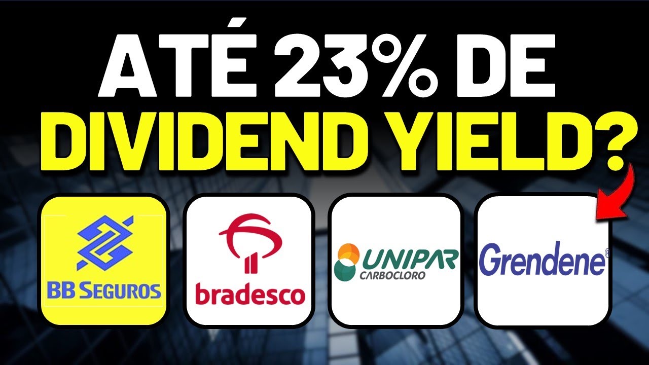 🚨VÃO PAGAR RECORDE DE DIVIDENDOS ESSE FIM DE ANO? 23% de DIVIDEND YIELD VALE A PENA INVESTIR?