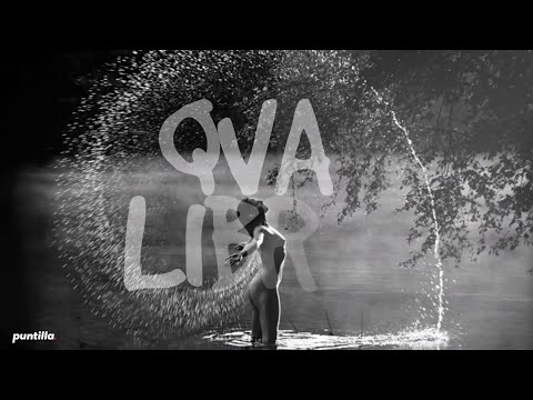Qva Libre,  Chacal - No He Podido Olvidarte (Lyric Video)