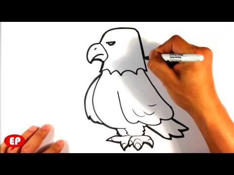 How to Draw an Eagle - Cute - Easy Pictures to Draw - YouTube