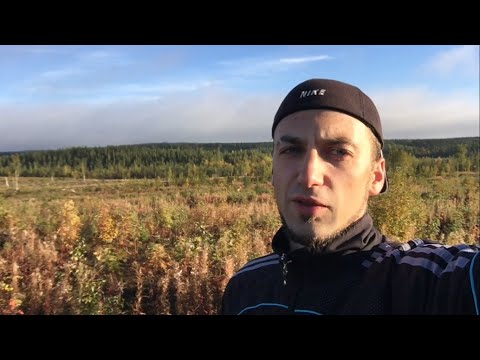 Сбор ягод в Финляндии. Отзыв с Николоз-джоб. Реальный опыт