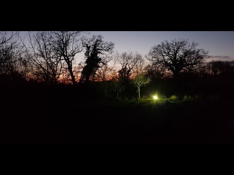 Spring moths in the Wildland