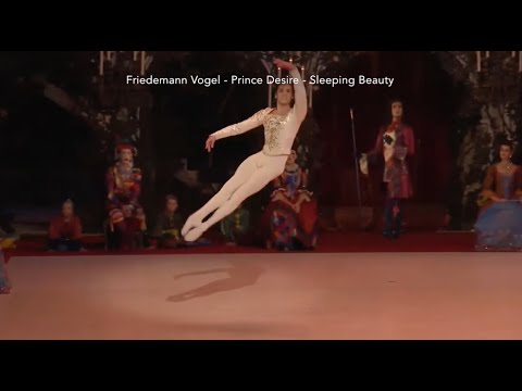 Friedemann Vogel - Prince Desire - Sleeping Beauty