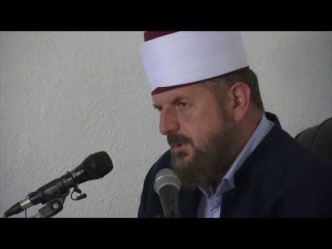 27. En-Neml 20-35 - "Tregimi i Sulejmanit a.s. për pupëzën"