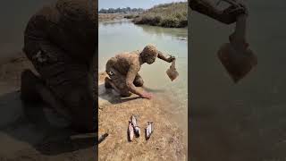 Download lagu Metode Memancing Tradisional yang Digunakan untuk Menangkap Ikan Kecil & Besar #memancing #memanc... mp3 Download lagu Metode Memancing Tradisional yang Digunakan untuk Menangkap Ikan Kecil & Besar #memancing #memanc... mp3