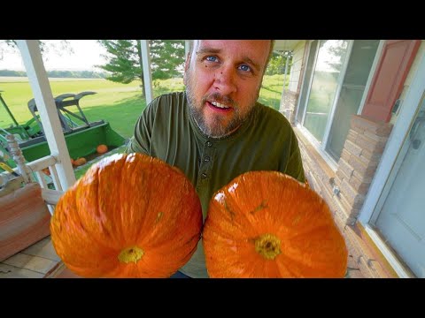 Lessons From Our First Pumpkin Harvest + A New Tractor...