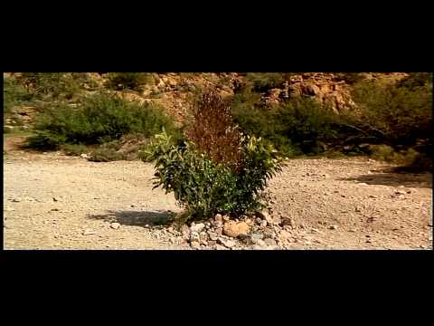 Three Amigos Best Scenes Part 2