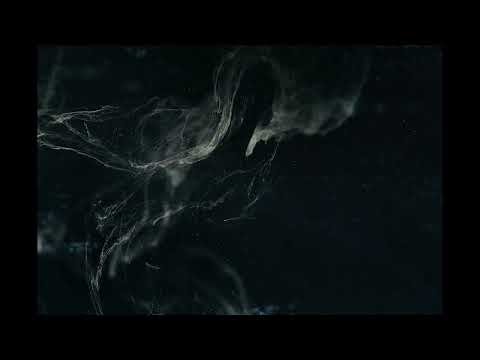 SaberZ x Lyndo - Revival ( Official Extended Mix )