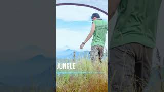 Download lagu make a tend in the jungle #music #song #adventure mp3 Download lagu make a tend in the jungle #music #song #adventure mp3