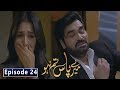 Meray Paas Tum Ho Episode 24 Explain | Ayeza Khan Drama