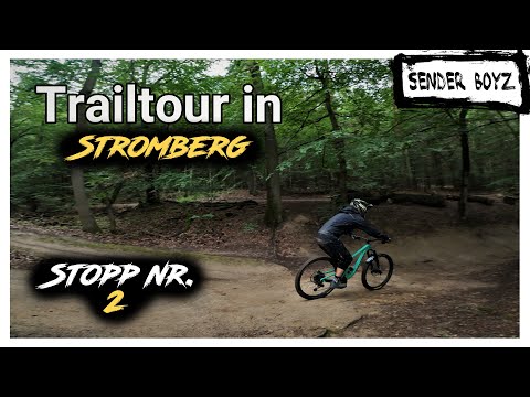 Das erste Mal am Flowtrail Stromberg 2021 - Zwischen Disteln und coolen Typen - Wild Hog & No Jokes