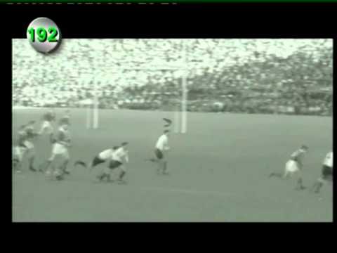 Springbok Try Nr: 192 - Colin Greenwood (1961 - Ireland, Newlands)