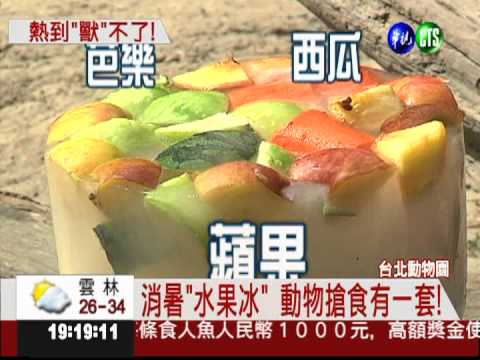 熱到"獸"不了! 動物園請吃冰消暑