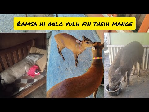 "Sanghal duhawm lutuk ka hmu!"