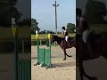 JUMENT 5 ANS SELLE FRANCAIS