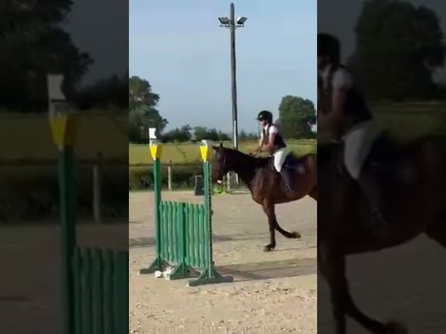 JUMENT 5 ANS SELLE FRANCAIS 