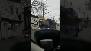803 Bus Line - Albany, NY