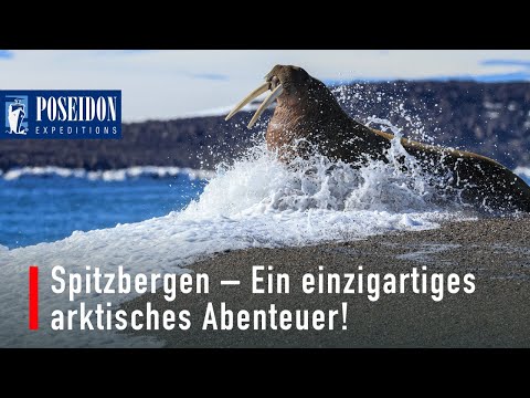 Spitzbergen – Ein einzigartiges arktisches Abenteuer!