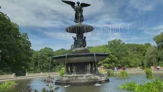 NYC's Summer of 2020