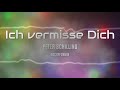 Peter Schilling - Ich vermisse dich (RockyFoxMix)