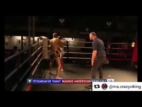 CRAZY VIKING WITH MAD KNOCK OUT TO Win LION FIGHT WORLD CHAMPIONSHIP