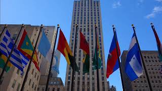 David BYRNE - Independance Day (cover) New-York City