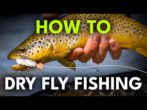 Beginner's Guide to Dry Fly Fishing — 6 Steps to Success! | Episode 16