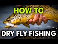 Beginner S Guide To Dry Fly Fishing 6 Steps To Success Episode 16
