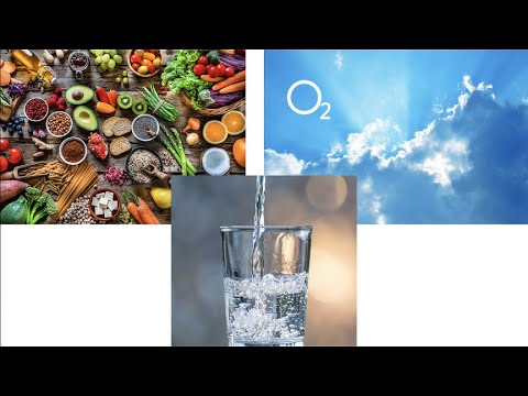 AmCham 2023 Space Endeavour Scholarship Application - Life Support