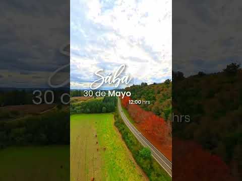 BOSQUES DE PARRAL VENTA FINAL OPORTUNIDAD A MINUTOS DE ATRACTIVOS EN EL MAULE | PARRAL | ROL 5.000M2