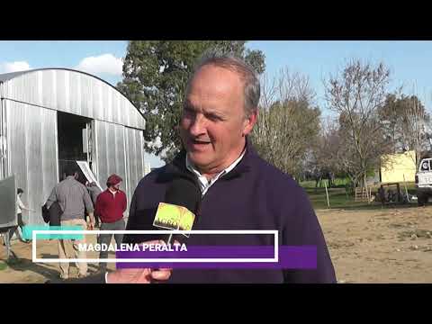 Proyecto ANDE -MJA  Entervista al Ing.Agr. Gonzalo Urioste Gobierno Departamental de Florida