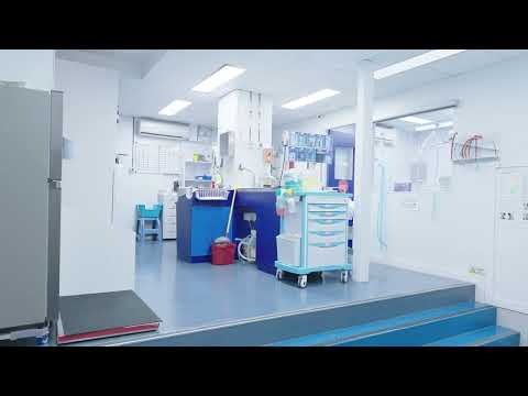 Pets Central西貢醫院 | Pets Central Sai Kung |  歡迎來到西貢Pets Central