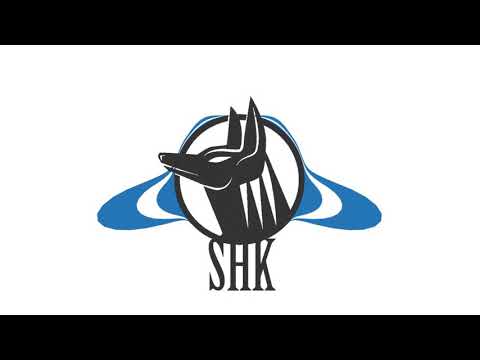 Shackal - Sagaz ft. Carla Suhett & DJ Erik Skratch (Prod El Tosh & Mister Zoy)