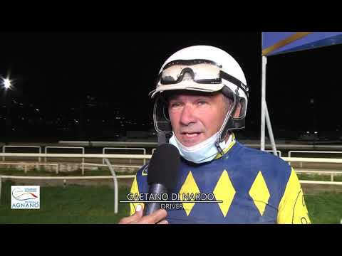 Agnano trotto, gp da record in notturna