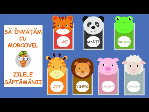 Sa invatam cu Morcovel - Zilele Saptamanii