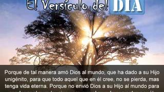 Miniatura del video: El versiculo del dia .com - Juan 3 v16-17