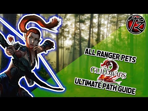 All Ranger Pets - ULTIMATE path guide