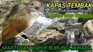 Download lagu 1 JAM MASTERAN KAPAS TEMBAK | GURU VOKAL SANG JAWARA mp3 Download lagu 1 JAM MASTERAN KAPAS TEMBAK | GURU VOKAL SANG JAWARA mp3