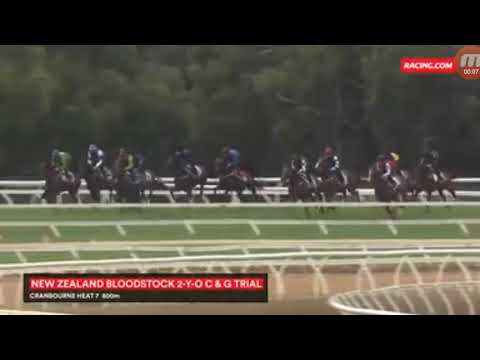 速遞奇兵 D449 澳洲試閘勝出 (藍紅白橫間衫袖帽)