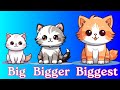 Smallest To BIGGEST Small Smaller Smallest L The Sizes For Kids L Big Bigger Biggest