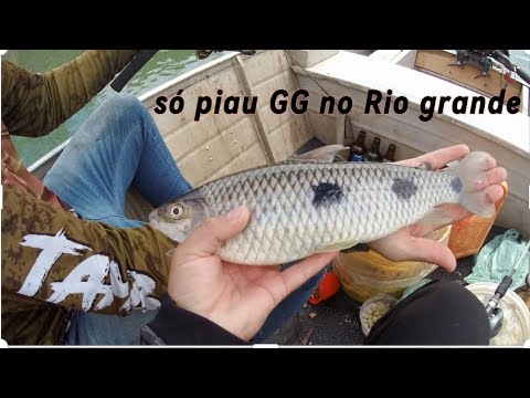 Pescaria de Piau no Rio grande! Orindiúva
