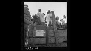 American Folk Music (CA): Hanging Johnny