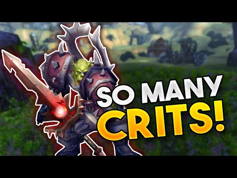 THE NEW RANK14 CLASSIC WARRIOR