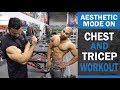 AESTHETIC MODE ON Chest and Tricep Workout! DAY 1 (Hindi / Punjabi)