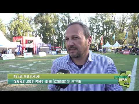 Cabaña El Jagüel Pampa de Quimilí (SDE) participó en Expo Bra 2026 con Braford
