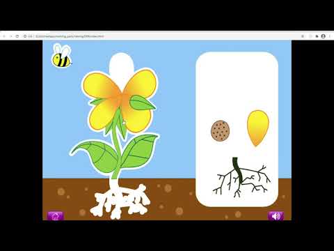 Naming Parts of Plants and Ani