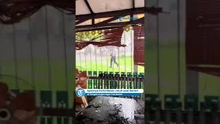 Download lagu Momen Lucu Polisi Malah Jatuh saat Berlari di Tengah Hujan agar Tak Basah #polisi #jatuh #shorts mp3 Download lagu Momen Lucu Polisi Malah Jatuh saat Berlari di Tengah Hujan agar Tak Basah #polisi #jatuh #shorts mp3