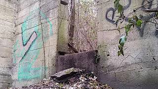 Some ancient concrete thing hidden in the woods.