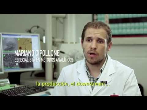 Y-TEC laboratorio Analítica