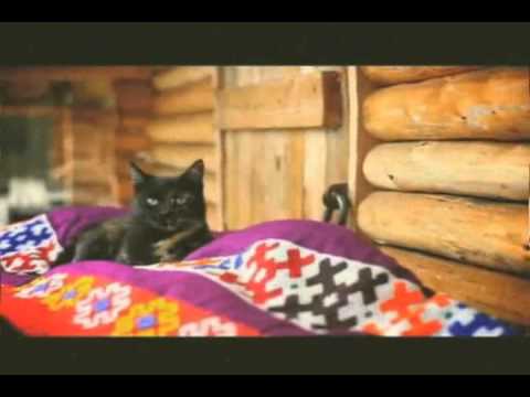 Unbroken Dub - Mansi Song